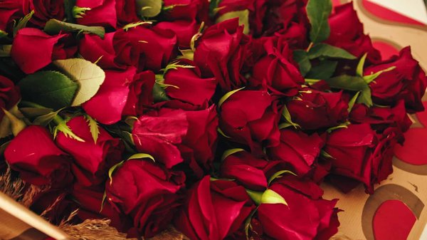 Ce qu'il faut savoir avant d'offrir des roses le jour de la Saint-Valentin
